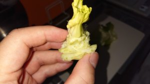 【低糖質レシピ】あんかけチャンプルー【お米無くても満足！】