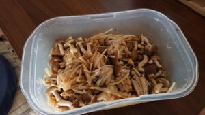 てるるブログ なめ茸