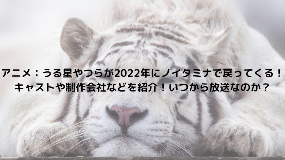 アニメ うる星やつらが22年にノイタミナで戻ってくる キャストや制作会社などを紹介 いつから放送なのか てるるブログ